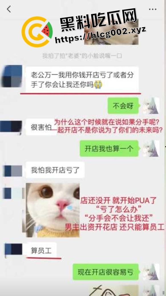 纯爱不死！王者荣耀国服梦琪【肥猫】【谭竹】事件全梳理 两年转账51万后被PUA至死 谭竹被打视频流出？正义开盒-11