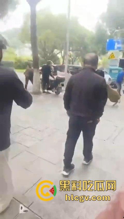 网友投稿浙江建德新安江惊现大野猪！早上9点横冲直撞，场面惊险万分！-7