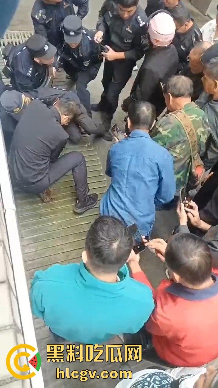 网友投稿浙江建德新安江惊现大野猪！早上9点横冲直撞，场面惊险万分！-8