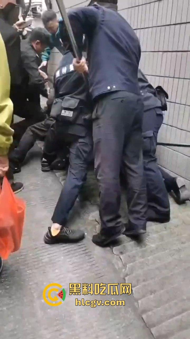 网友投稿浙江建德新安江惊现大野猪！早上9点横冲直撞，场面惊险万分！-10