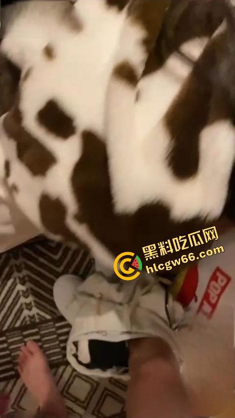 青岛高冷舞蹈老师『刘倪』酒后车震不过瘾，自己撕开黑丝小穴坐上来骑，操完还嘴巴张着要你射脸上！-13