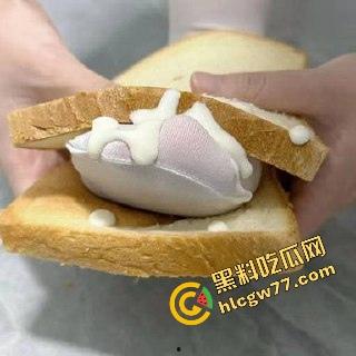 合肥『左珊』高校刚毕业，白丝黑丝来回换，Cos小母狗自拍自慰给金主看，毕业前酒店被操到嗓子发哑！-5