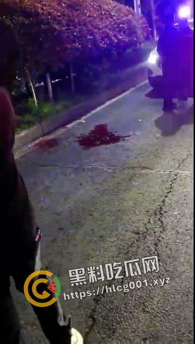 武汉工程科技学院门口血案！女友出轨 男子捅死小三 这就是爱啊 现场血腥视频流出-5