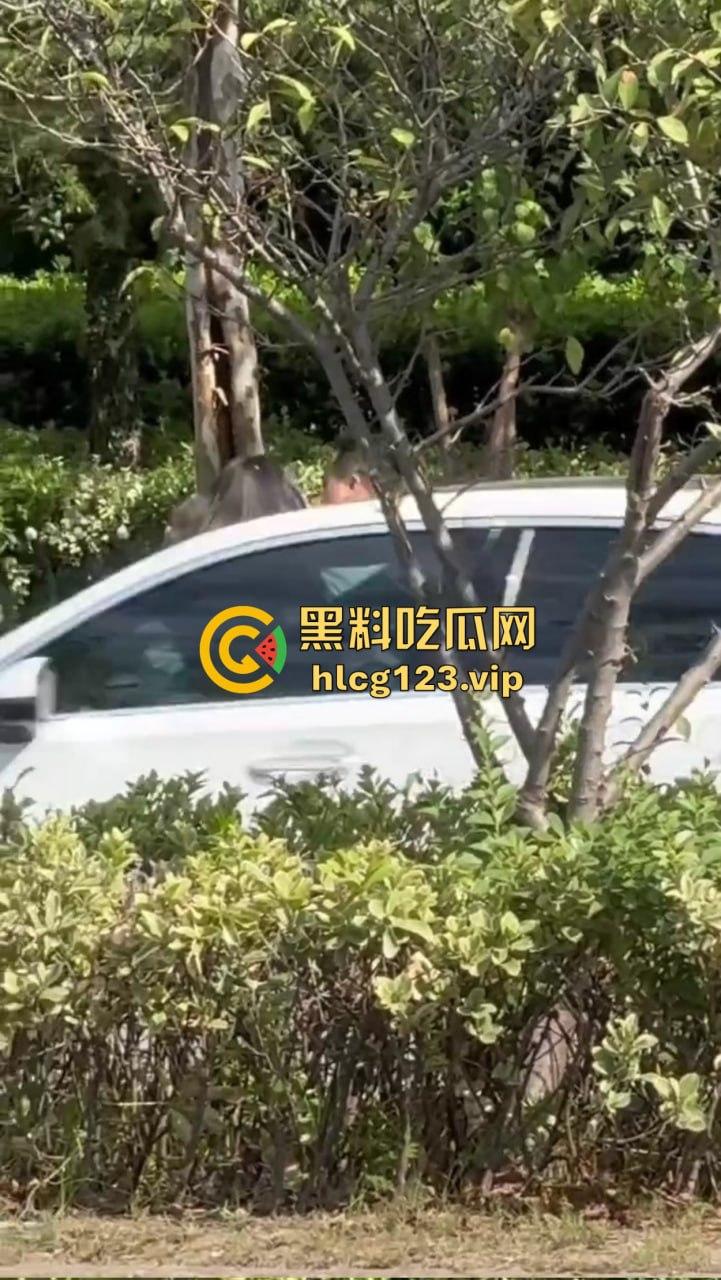 安徽芜湖长江南路惊现大尺度现场!为爱马仕鳄鱼皮,女的当街给口,鸡瘾犯了拼了命!-2