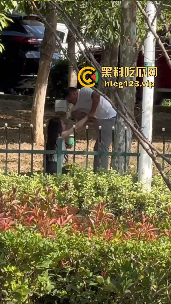 安徽芜湖长江南路惊现大尺度现场!为爱马仕鳄鱼皮,女的当街给口,鸡瘾犯了拼了命!-6