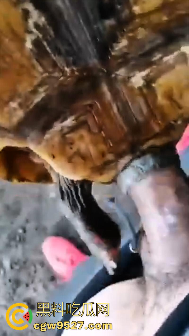 印度三哥真是什么都敢操，从兔子到乌龟，从老虎到蜥蜴，只要有洞都能插，地震裂缝是不是也能操地球啊！-3