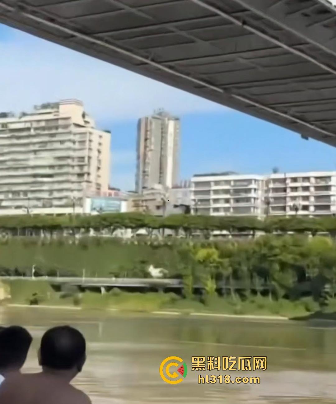 宜宾南门大桥惊魂跳河！黄河波浪敲响生命警钟，黄金30秒生死救援捡回一条狗命！-3