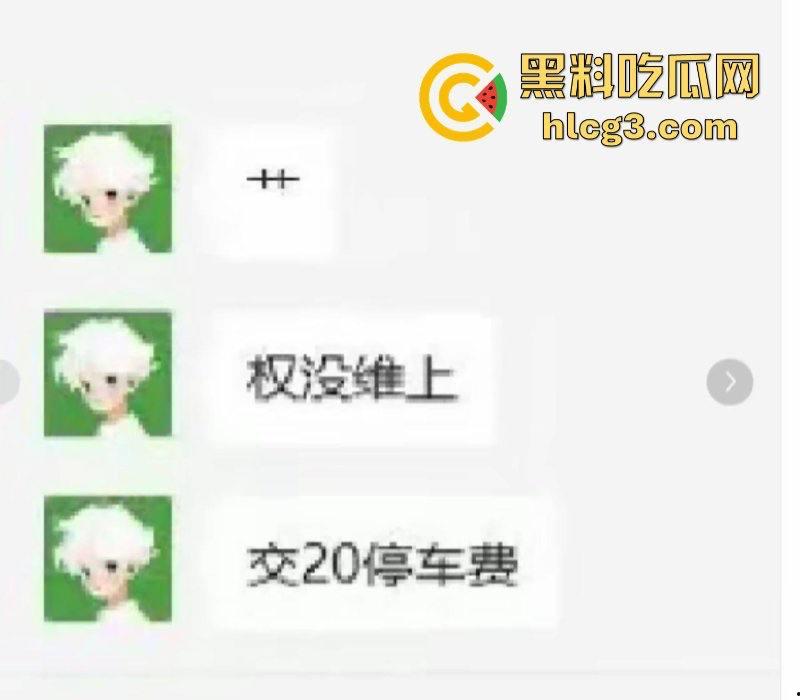 权没维上 还交了20块停车费？极氪背后的生存之战 极氪车主彻底破防 老车主拉横幅维权-5